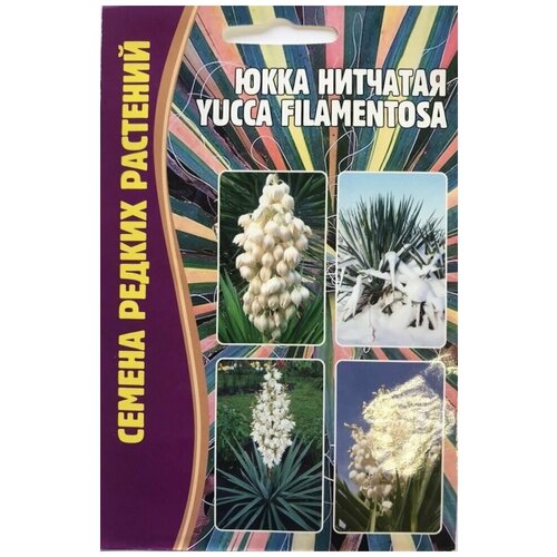    (Yucca filamentosa) (15 ) 199