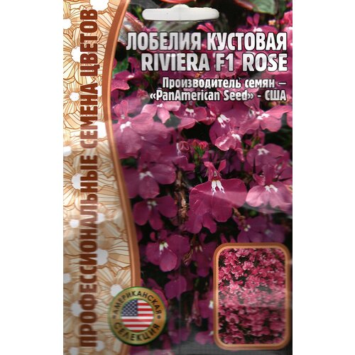  Riviera F1 Rose,   ( 1 : 5  ) 185