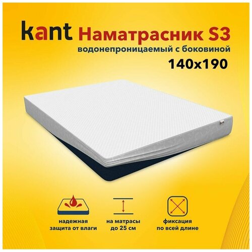  Kant    S3,14019025 1907