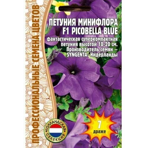  Picobella Blue SYNGENTA  F1 7    226