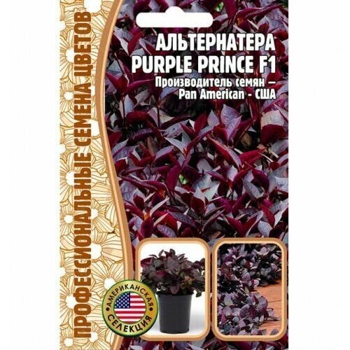  Purple Prince F1 3  (  ) 310
