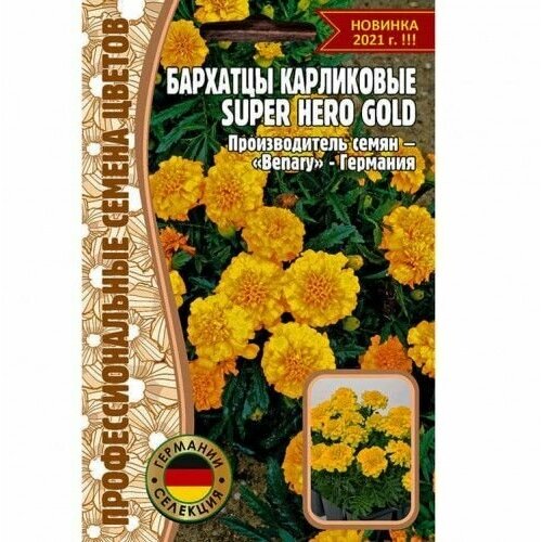  Super Hero Gold  10 (  ) 216