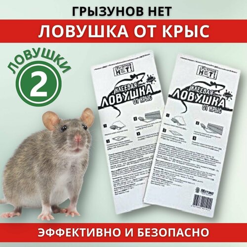      (Mr. Mouse),  2 . 207