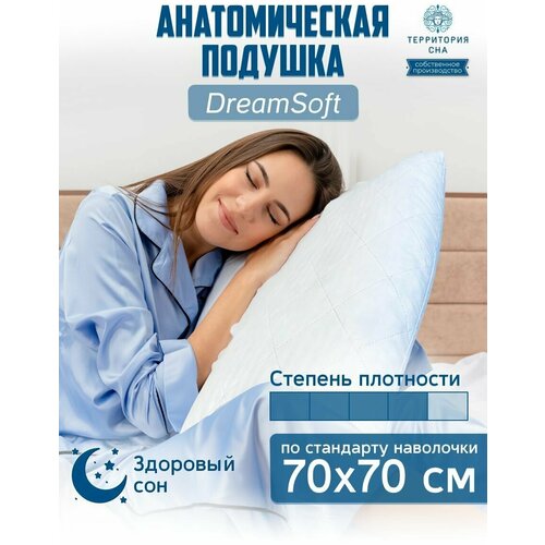   Dream soft 5070 .        ,  1120