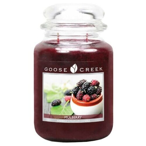   GOOSE CREEK Mulberry 150 ES2640-vol 3200