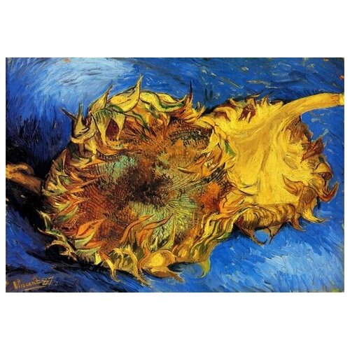       (Two Cut Sunflowers 3)    72. x 50. 2590