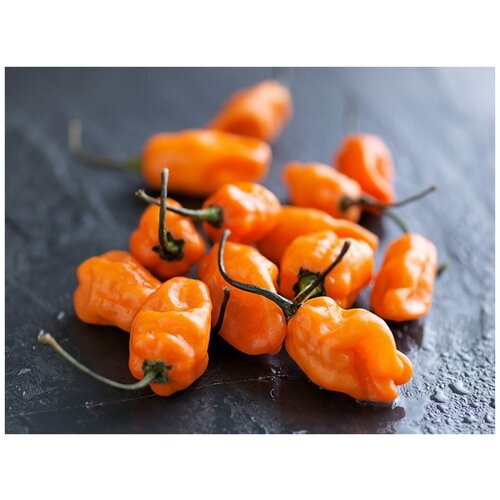      (. Habanero Pepper Orange)  5 460