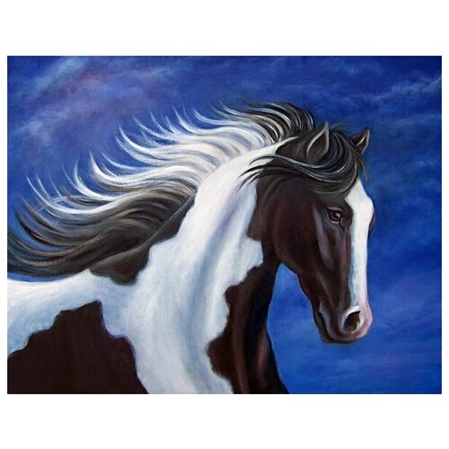    -  (Black and white horse) 51. x 40. 1750