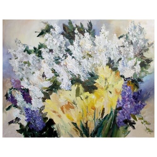     (Lilac) 4 64. x 50. 2370