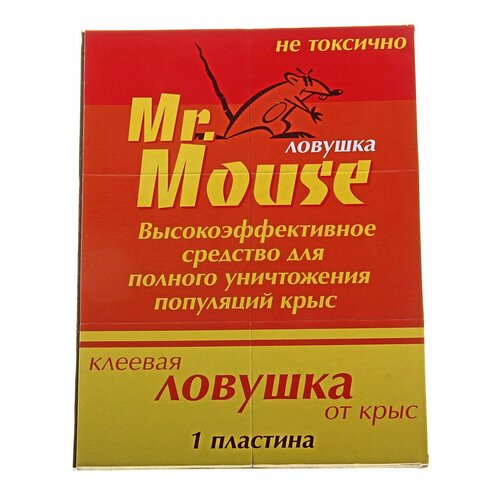     Mr.Mouse,  , 1 229