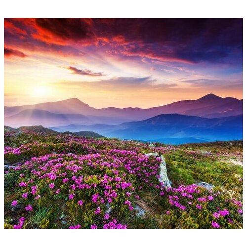         (Flowers in the mountains at sunset) 5 68. x 60. 2830