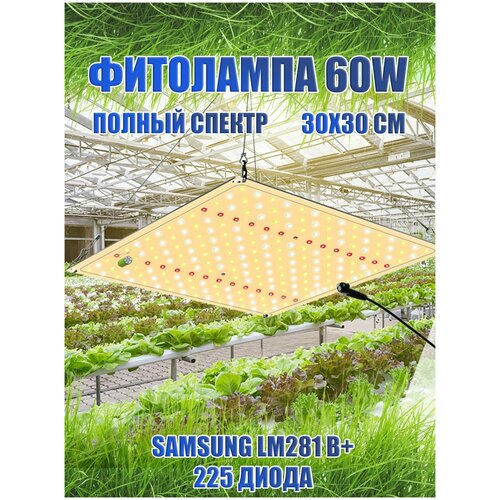  60/ Samsung LM281b+/ quantum board/  /  sl-600 / 4000, 450-660 /     3500