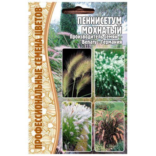    (Pennisetum villosum) (10 ) 194