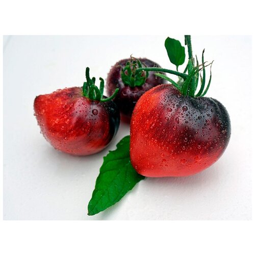    (. Solanum lycopersicum)  10 330
