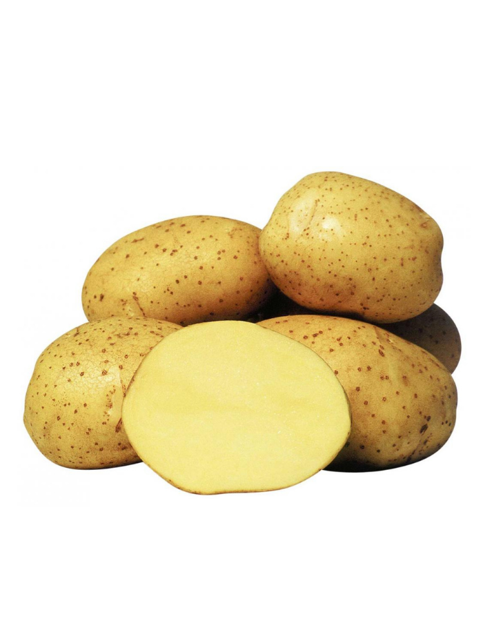 купить Картофель Колетте, РС1 1 кг, стоимость 170 руб 