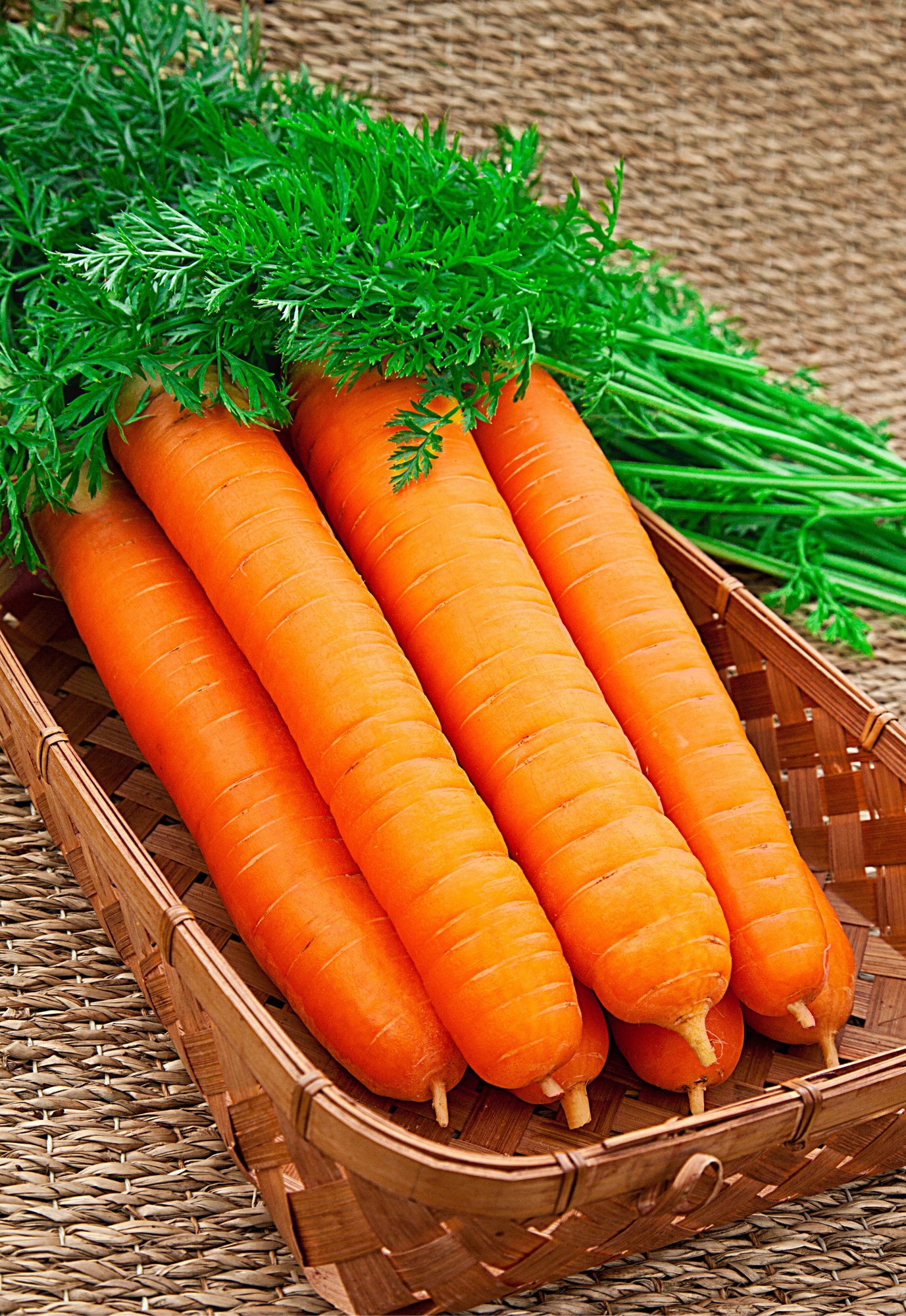 Морковь Самсон 0,5 гр ЗА 1 РУБЛЬ 1р