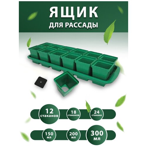 ����� ��� ������� � ��������: �������� 300 �� 12 ��. / �������� ��� ������� 399�