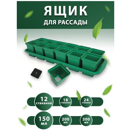 ����� ��� ������� � ��������: �������� 150 �� 12 ��. / �������� ��� ������� 349�