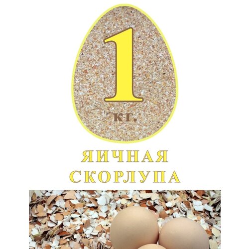 ������ �������� 1 �� 190�