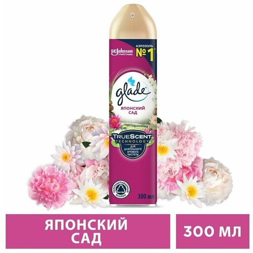   GLADE 300   322