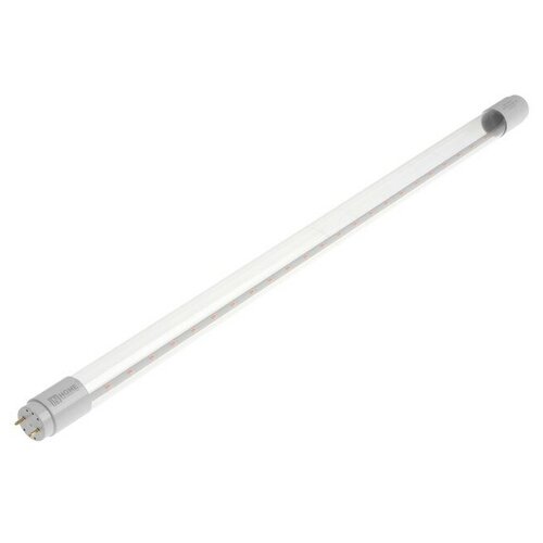 ����� ������������ IN HOME LED-T8-FITO, 10 ��, 230 �, G13, 600 �� 390�