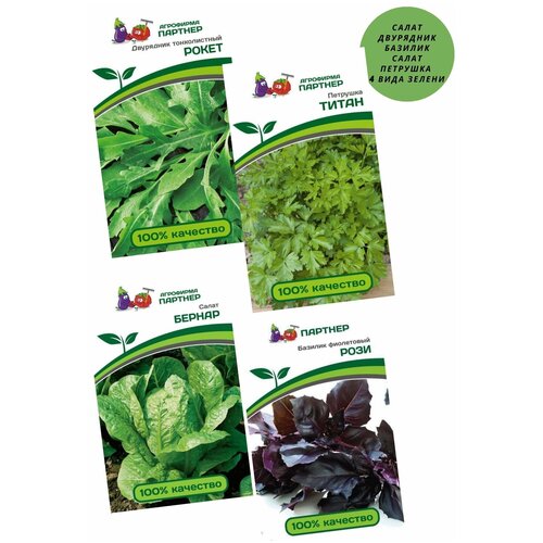 Семена зелени,4 вида:салат Бернар,базилик Рози,петрушка Титан,двурядник (руккола) Рокет/Агрофирма партнер/ 699р