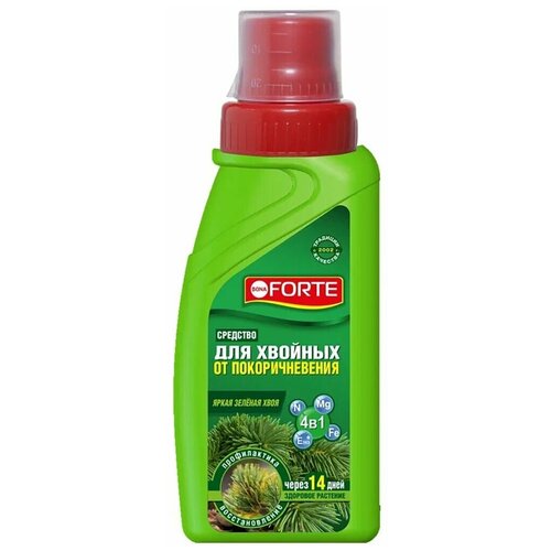 �������� Bona Forte 4 � 1, �� �������������� ����, ������, 285 �� 440�