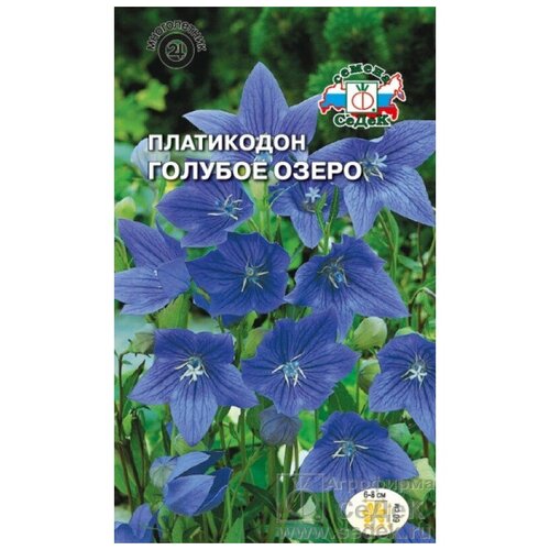 Семена Платикодон Голубое Озеро (голубой) 0,1 г (СеДеК) 180р