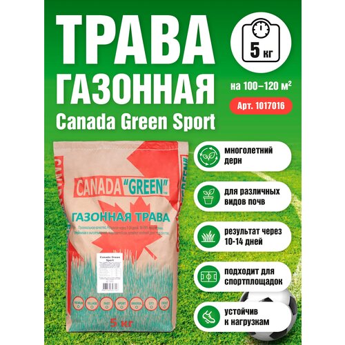 Газонная трава семена Канада Грин Спортивный SPORT 15 кг/ мятлик, райграс, овсяница семена для газона/3 шт 4599р