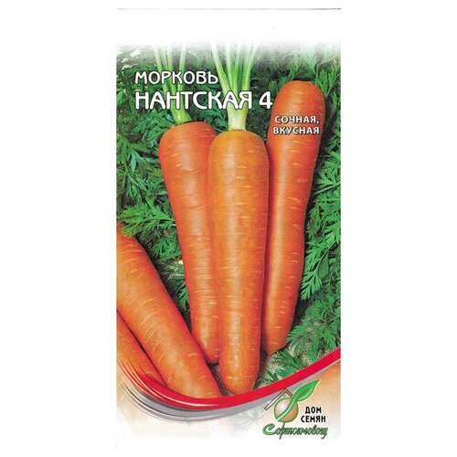Семена Морковь Нантская-4 для дачи, сада, огорода, теплицы / рассады в домашних условиях 376р