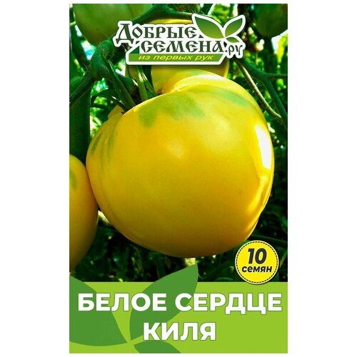 Семена томата Белое Сердце Киля - 10 шт - Добрые Семена.ру 144р
