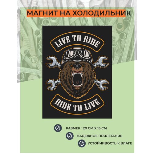 ������ �� ����������� (20 �� � 15 ��) ����� � ���� ���� � �����! ������� ��� ������� ������������ ����� ��������� �12 349�