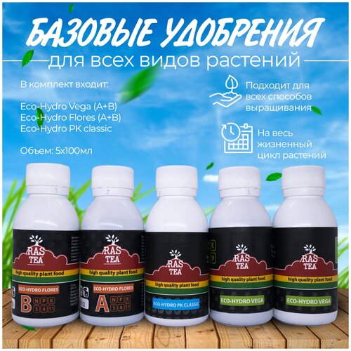 �������� ������� ��������� Rastea 100 �� 849�