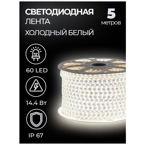   SMD 5050, 60 LED, 220 , 14.4 , IP67,   (6500 ) 1345