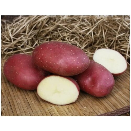 Картофель семенной Маяк ( 2 кг в сетке 28-55, элита ) 806р