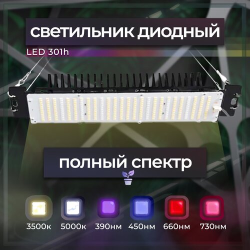 ��������������, ���� ����, ������� ���� ��� ��������, ���������, led 50w 301h 2625�