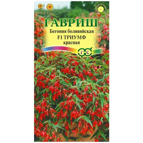 Семена Бегония Триумф красный F1 (боливийская) гранулированные 5шт / 1 пакет в пакете 129р