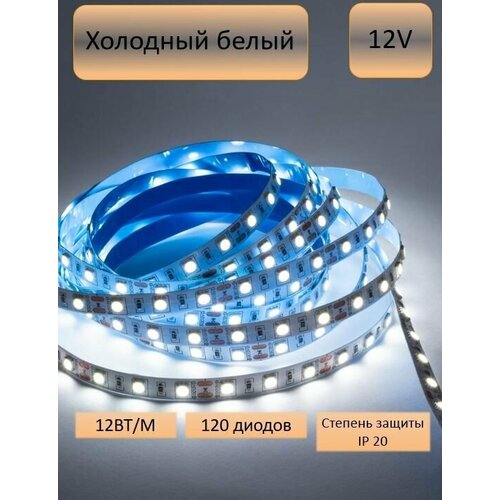   5, 12, IP20, 120 LED/m 2835 120   LED CW 675