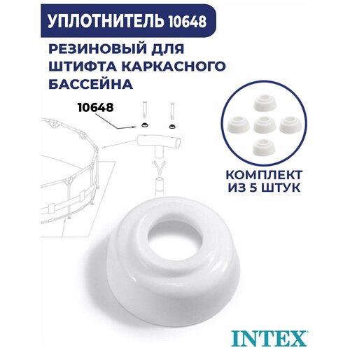     Intex 10648 (- 5 ),  290  Intex