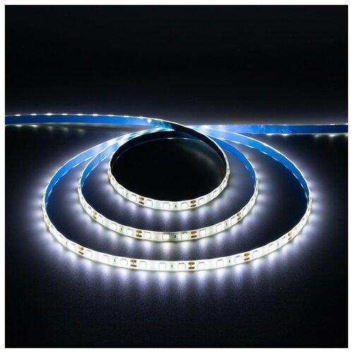    Ecola PRO, 12, SMD5050, 5 , IP65, 14.4/, 60 LED/, 4200,  1273   