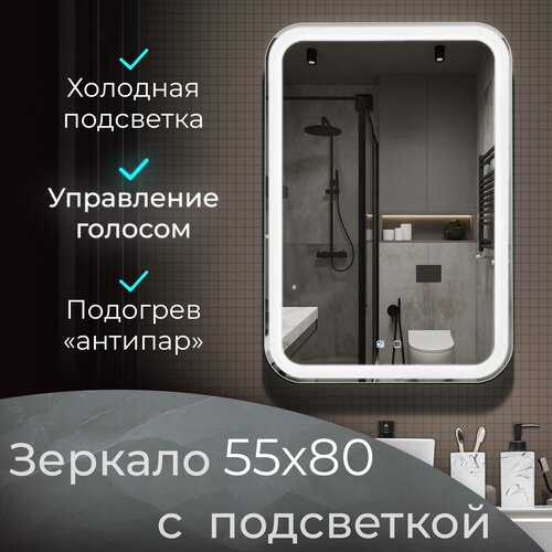 ������� � ���������� ������ Voice 55�80�� (�������� ���� 6000K, �������������, � ��������� �����������, ���������, ��� ������, ���������) 11112�