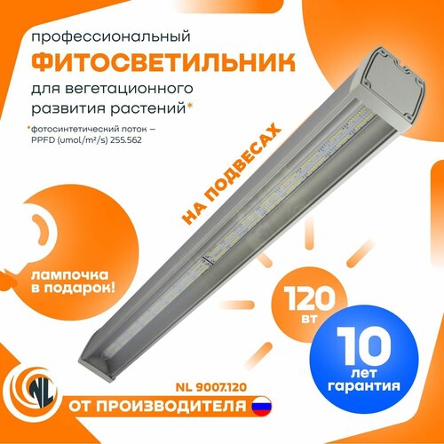 ���������������� �������������� ������������ ��������� �� ������ 120�� ������� NL9007 IP65 16320�