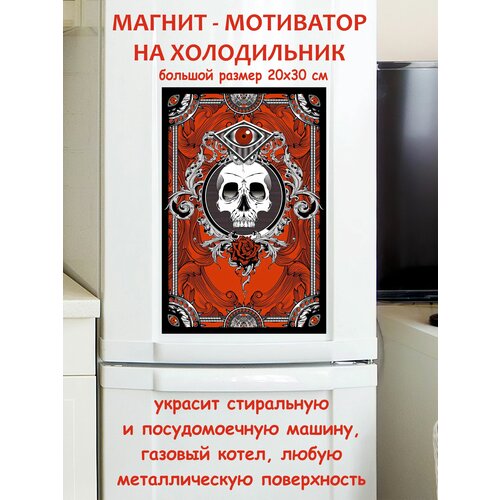 ����� ������ ������ �� ����������� 20 �� 30 �� 790�