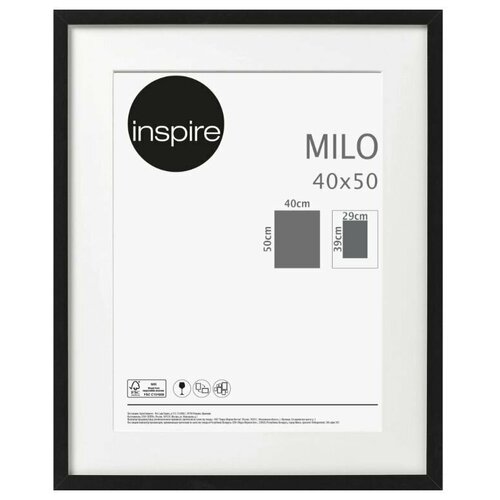 ����� Inspire Milo, 40�50 ��, ���� ������ 1210�