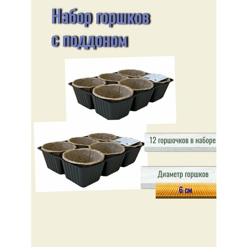 ����� ������� ��� ������� �����City ��������� 398�
