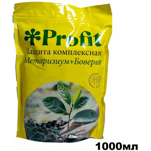 ��������� Profit ����������+������� 1000�� ����������� ������ �������� 1074�