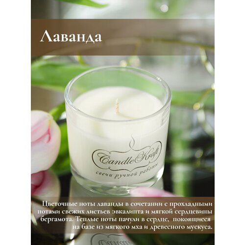       CandleKraft Lavender Aroma Mini 