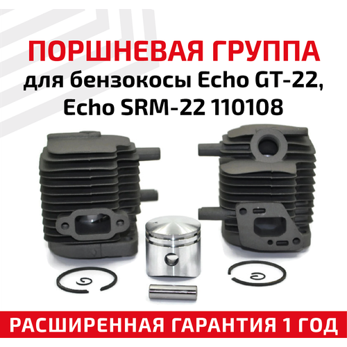     Echo GT-22, Echo SRM-22 110108 1863