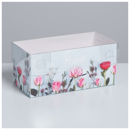 ������� �� 2 �������� Present, 16 ? 8 ? 7,5 �� 128�