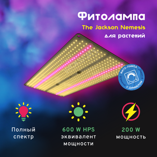 LED  The Jackson Nemesis 200W   27200